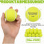 Tebery 20 Pack Green Advanced Training Tennisballe Whitaker