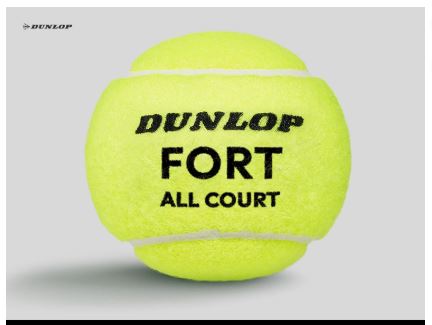 Dunlop Tennisbälle Fort All Court TS Wade