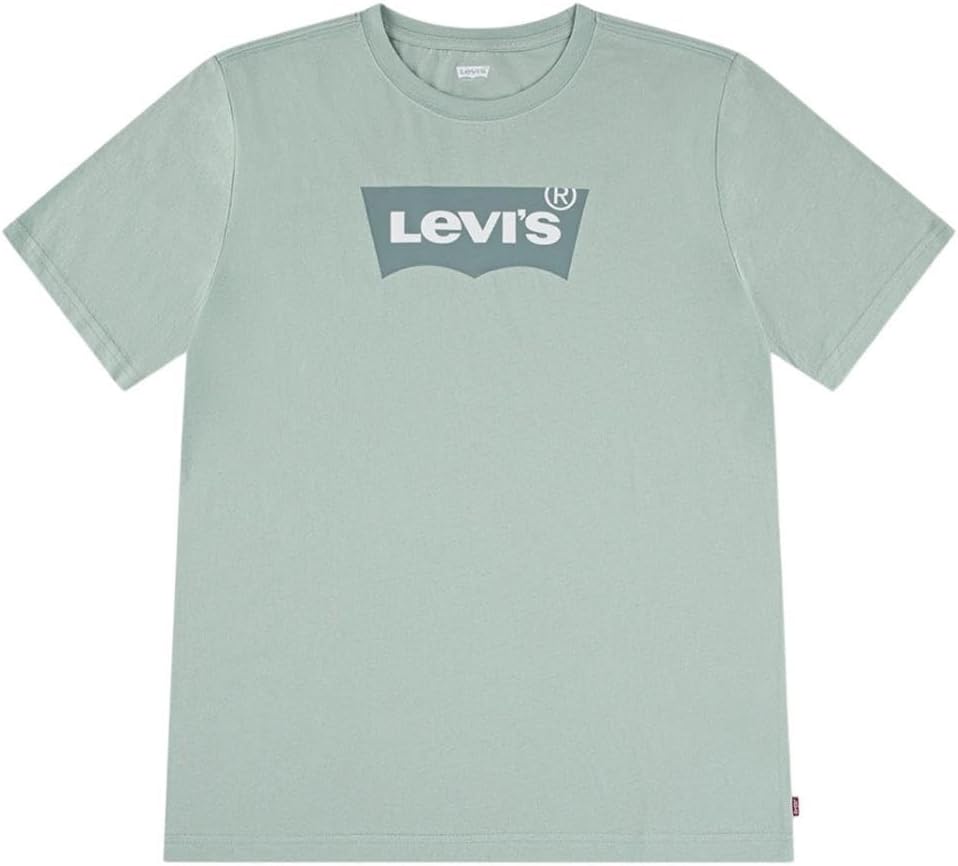 Levi's Jungen Blau Batwing T-Shirt Benjamin