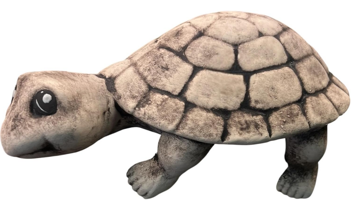 Schildkröte Mr. Turtle