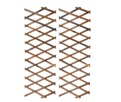 Pflanzenspalier Mateo, 2er Set