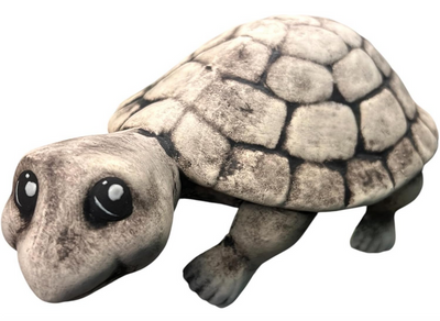 Schildkröte Mr. Turtle