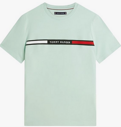 Tommy Hilfiger T-Shirt Herren
